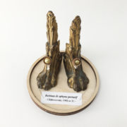 "Bottines de sphinx portatif" – Image 2